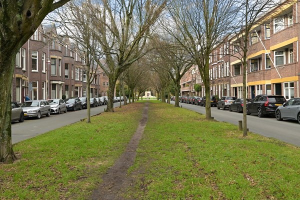 Medium property photo - Mesdagstraat 86, 2596 XZ The Hague